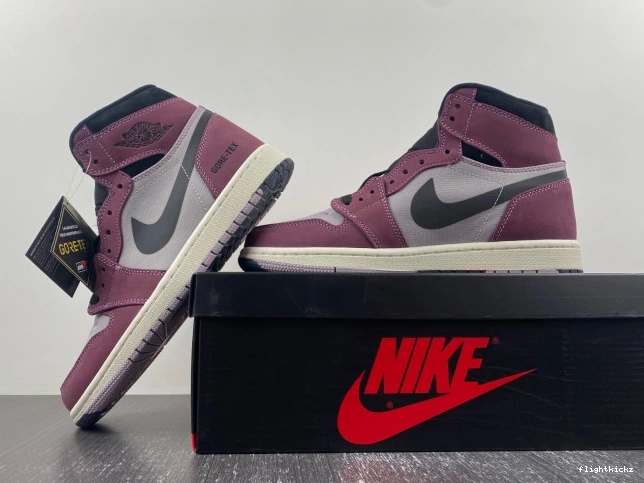 Jordan Gore-Tex Air Element 1 DB2889-500 0724